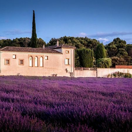 Le Mas Des Sorcieres - Maison D'Hotes Valréas Buitenkant foto