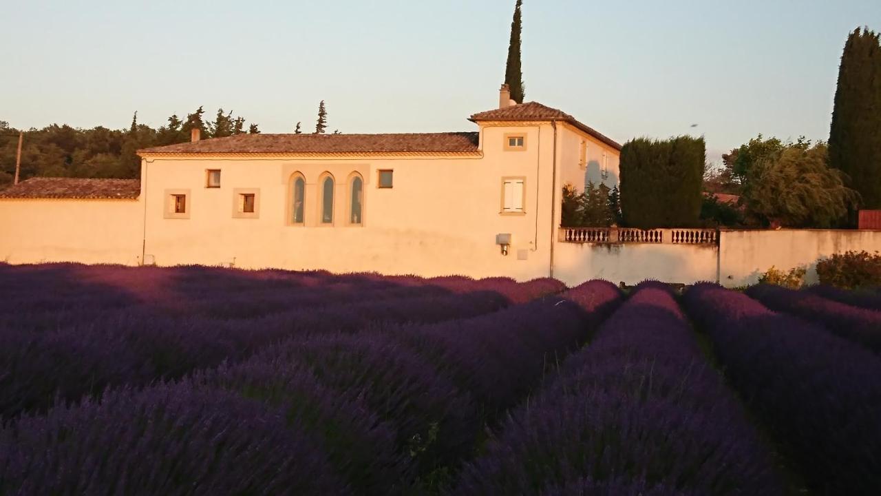 Le Mas Des Sorcieres - Maison D'Hotes Valréas Buitenkant foto